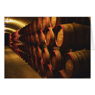 Barrels of Tokaj wine stacked in the Disznoko
