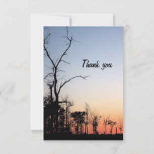 Barren Trees at Sunset in Spring Thank You Card