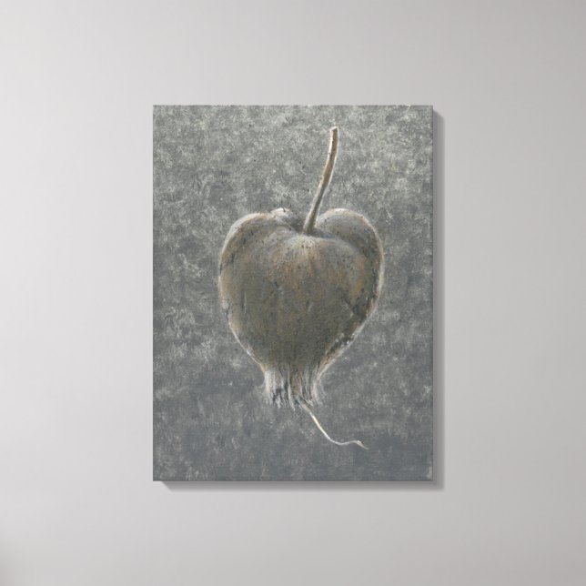 Barringtonia Acutangula  2 Canvas Print (Front)