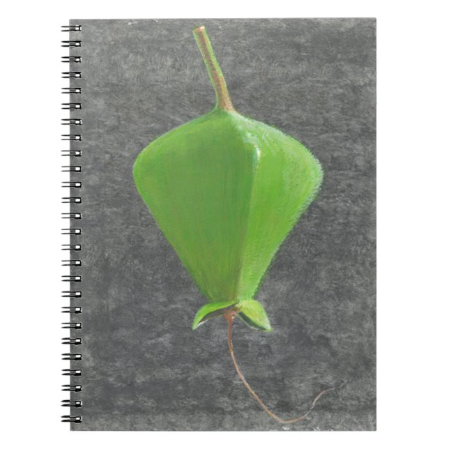 Barringtonia Acutangula Notebook (Front)