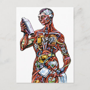 Bartender Anatomy (male) Postcard