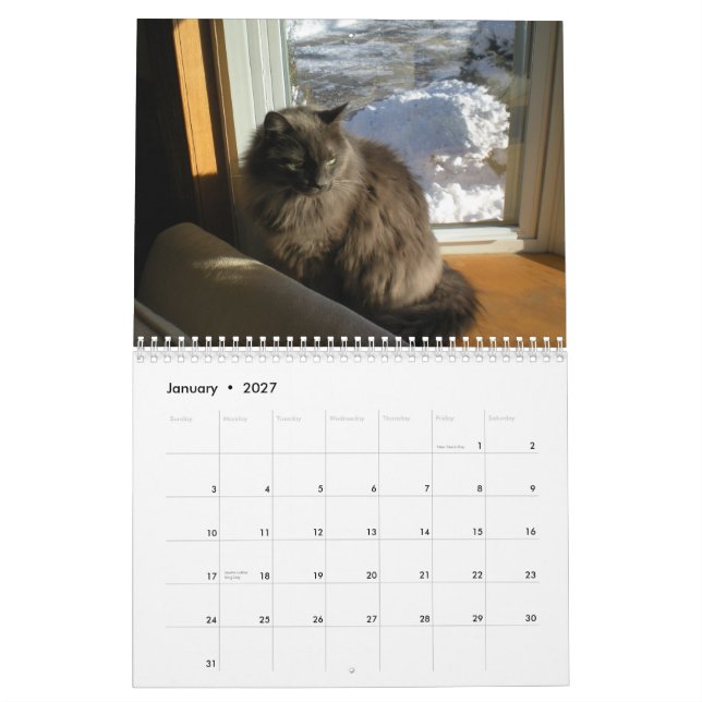 Bartholomew 2011 calendar (Jan 2027)