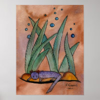 Barton Springs Salamander