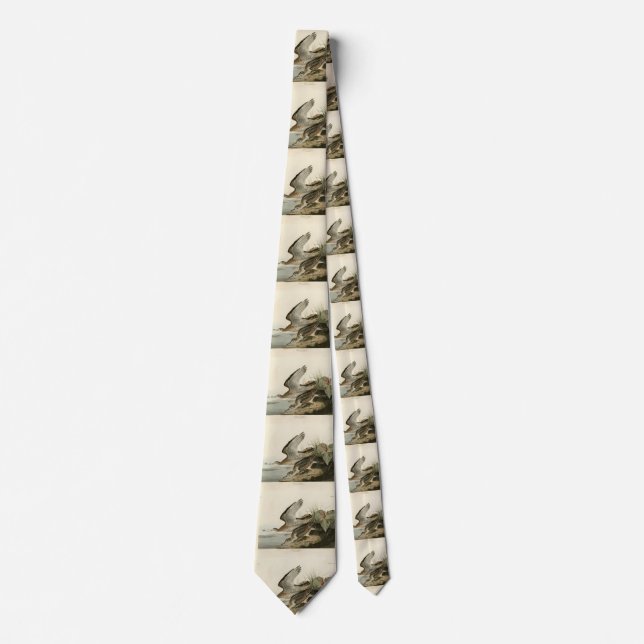 Bartram (Upland) Sandpiper - Audubon Birds America Tie (Front)