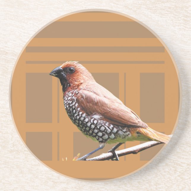  Barware & Bar Tools > Coasters (Front)