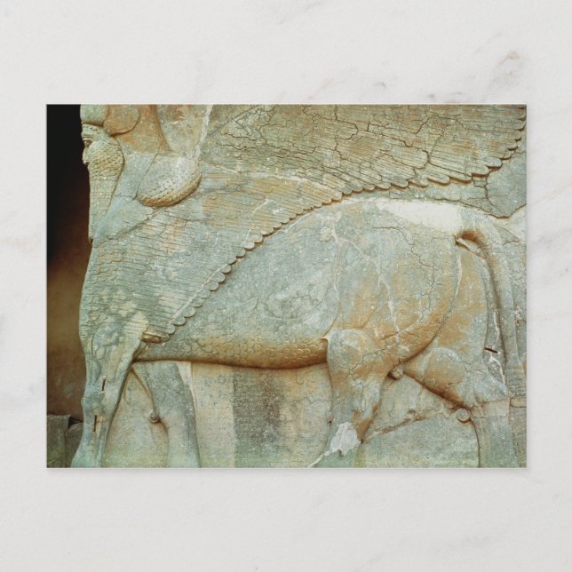 Bas-relief of an anthropomorphic bull postcard (Front)