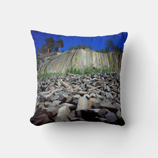 Basalt Formations of Devils Postpile Cushion (Front)