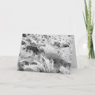 Basalt Lava Rocks in Desert, Black and White Photo Card