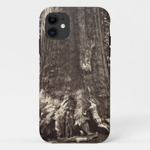Base of the Grizzly Giant, from 'The Yosemite Book iPhone 11 Case