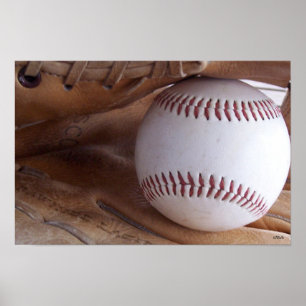 Baseball and Glove Sports Poster