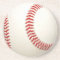 Baseball Ball Coaster