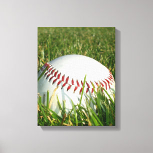 Baseball canvas print