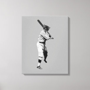 Baseball Cat Canvas Print