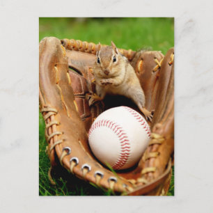 Baseball Fan Chipmunk Postcard