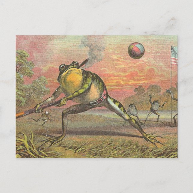 Baseball Frog Postcard (Front)