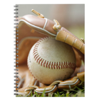 Baseball Glove and Ball Notebook