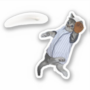 Baseball Kitten Wildcats