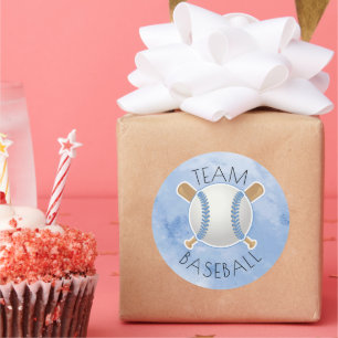 Baseball or bows gender reveal classic round sticker