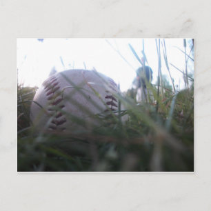 Baseball Postcard