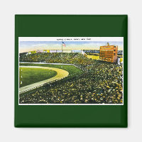 Baseball Stadium, Bronx, New York Vintage