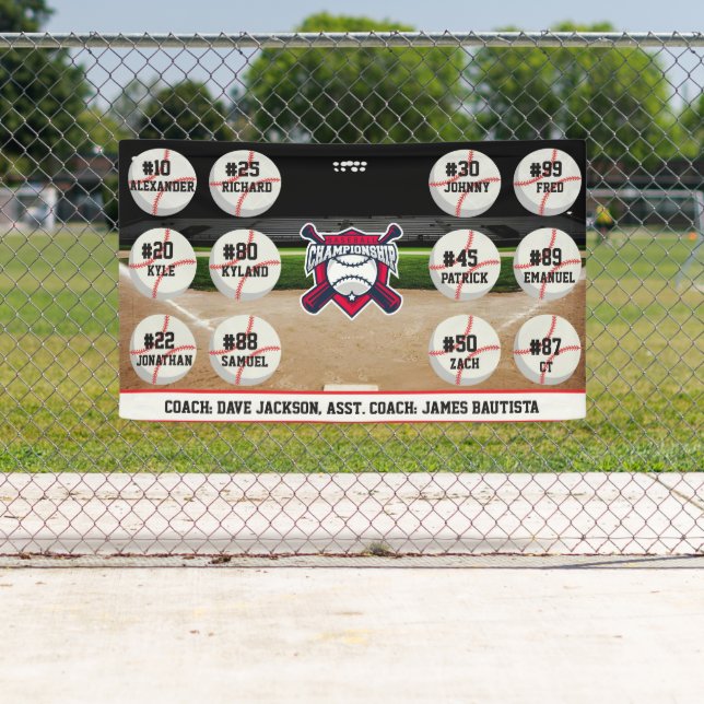 Baseball Team Banner (Insitu)
