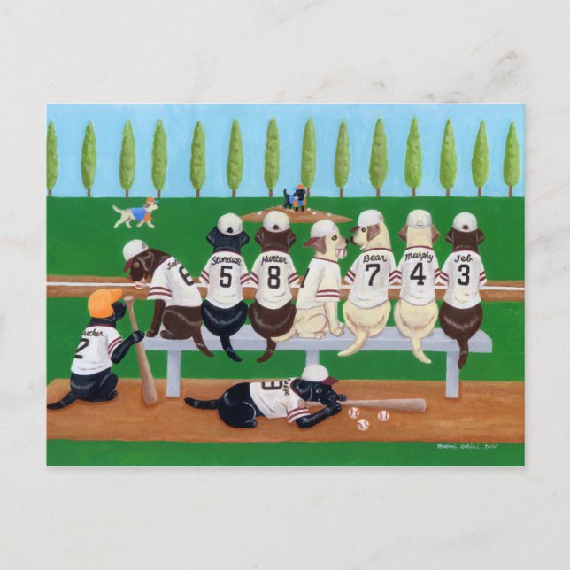 Baseball Team Labradors Postcard (Front)