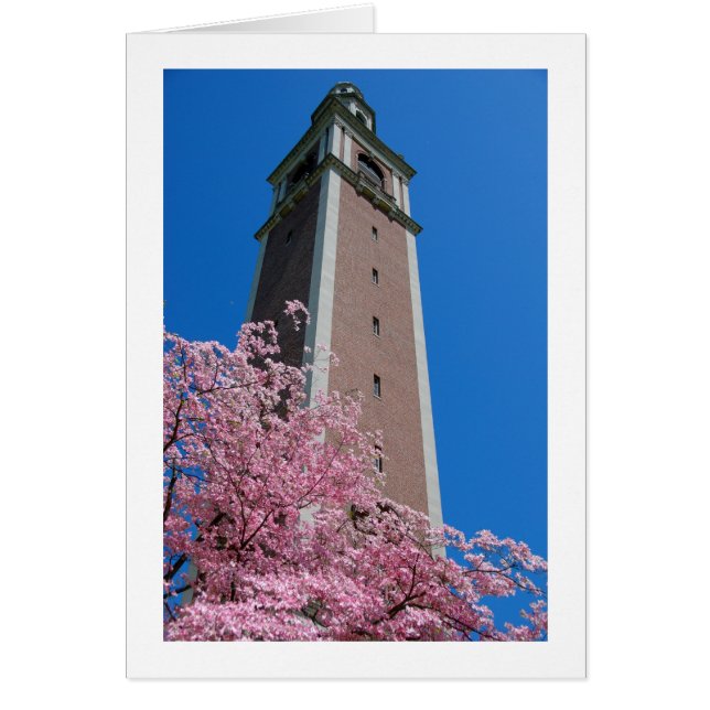 Based in Pink (Front)