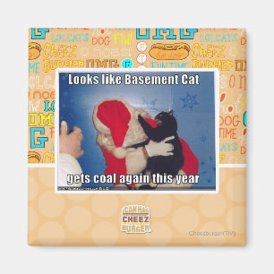 Basement Cat gets coal Magnet