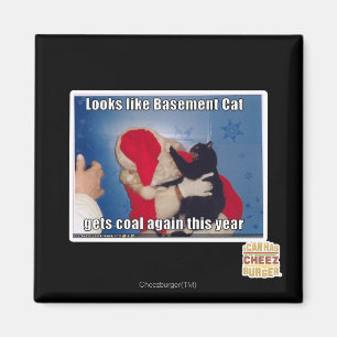 Basement Cat gets coal Magnet