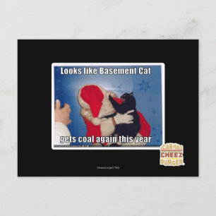 Basement Cat gets coal Postcard