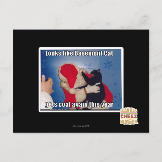 Basement Cat gets coal Postcard (Front)