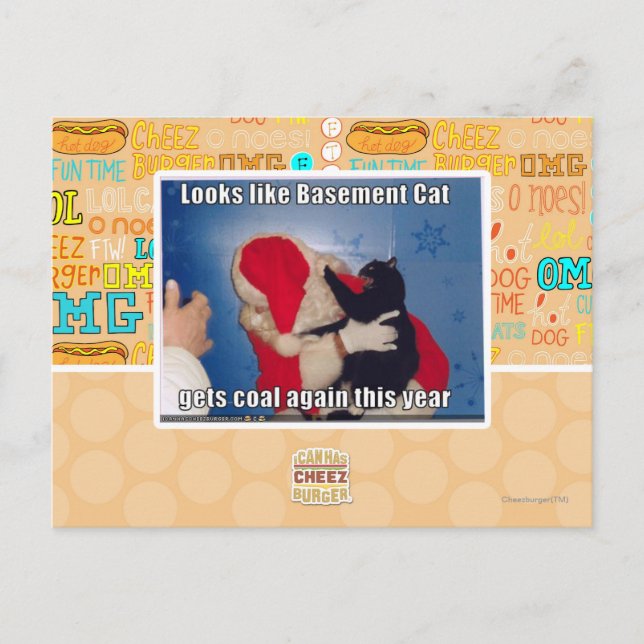 Basement Cat gets coal Postcard (Front)