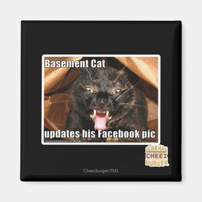 Basement Cat Magnet (Front)