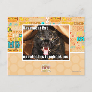 Basement Cat Postcard