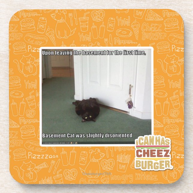 Basement Cat, slightly disoriented Coaster (Front)
