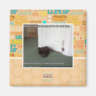 Basement Cat, slightly disoriented Magnet