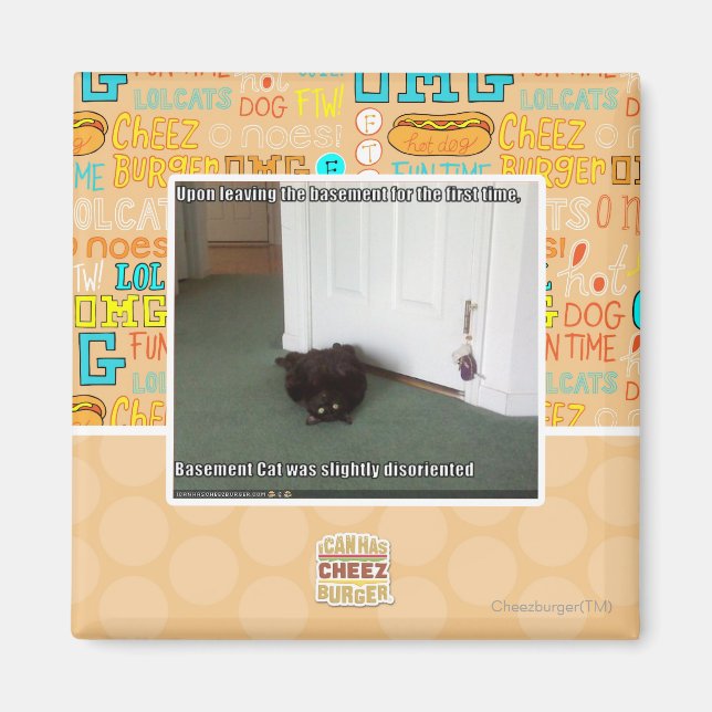 Basement Cat, slightly disoriented Magnet (Front)