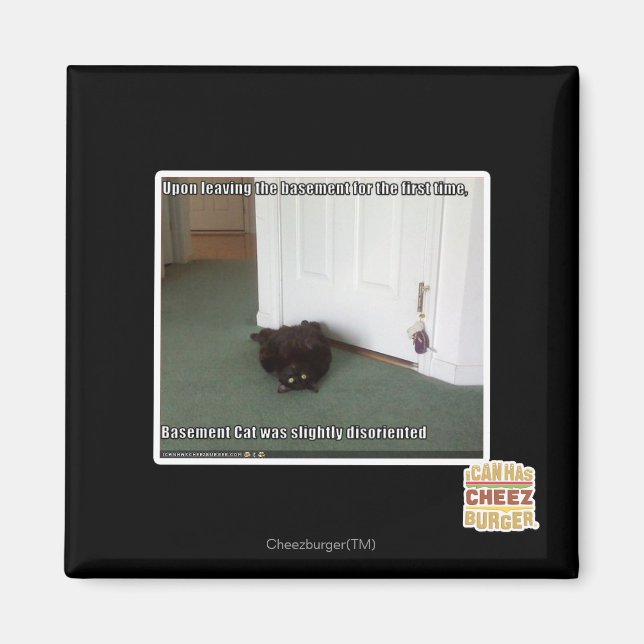 Basement Cat, slightly disoriented Magnet (Front)