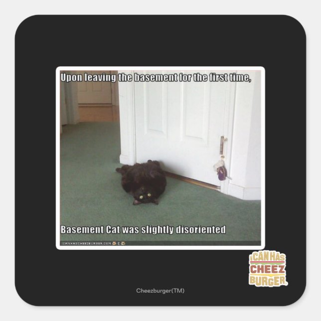 Basement Cat, slightly disoriented Square Sticker (Front)