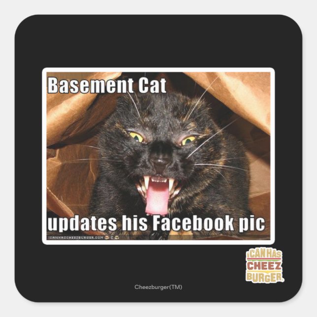 Basement Cat Square Sticker (Front)
