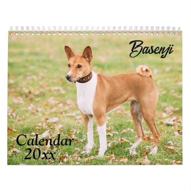 Basenji Calendar 2026 (Cover)