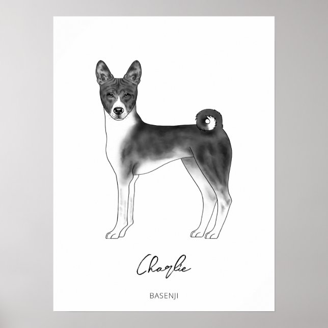 Basenji Dog In Black And White With Custom Text Poster (Front)