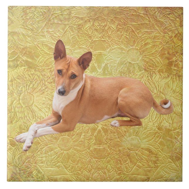 Basenji Dog  Tile (Front)
