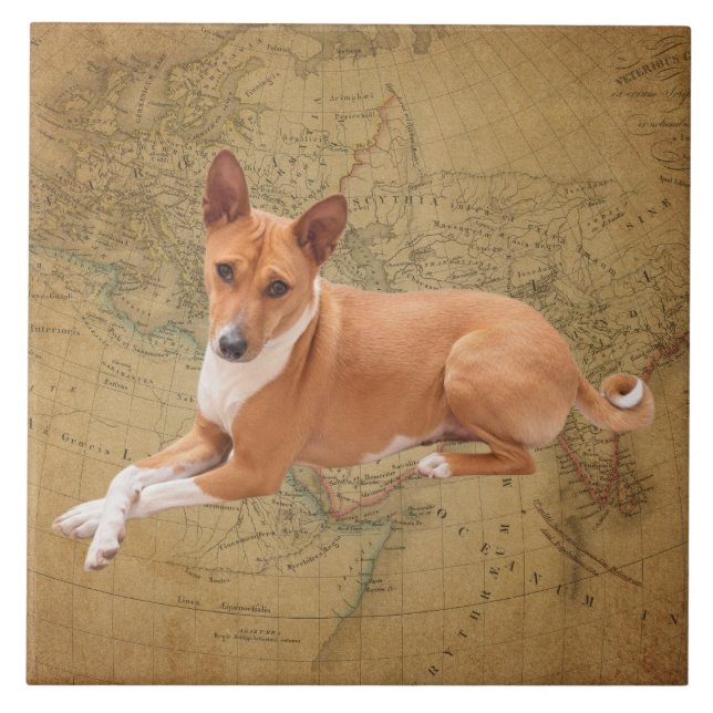 Basenji Dog  Tile (Front)