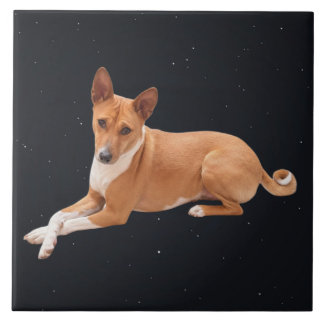 Basenji Dog  Tile