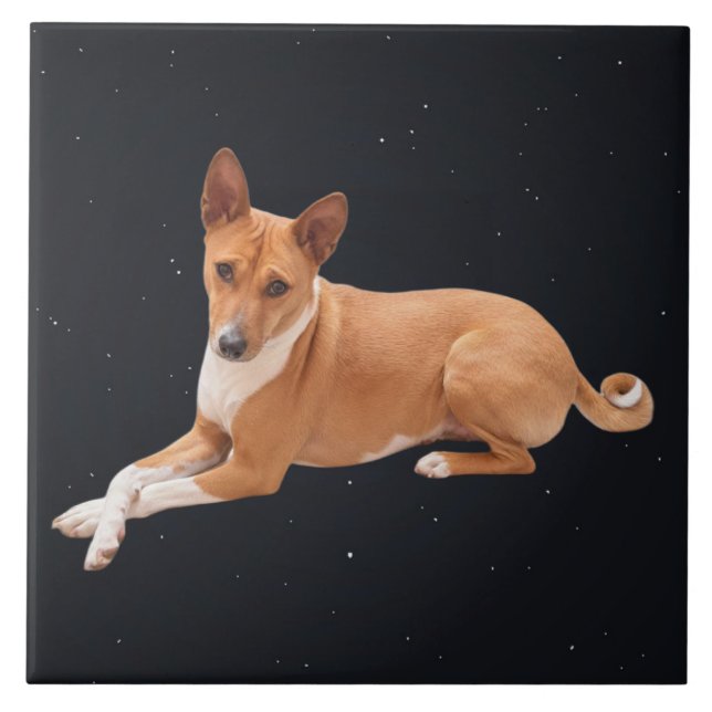 Basenji Dog  Tile (Front)