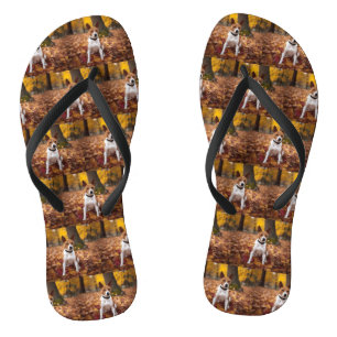 Basenji in Autumn Leaves Fall Inspire Flip Flops