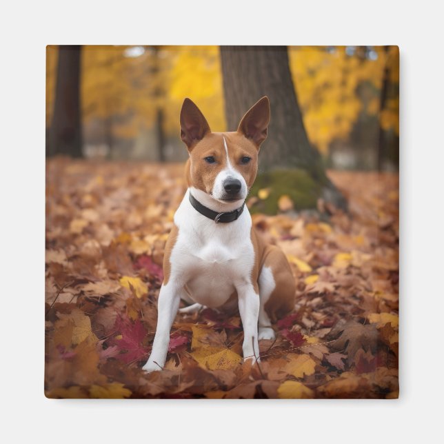 Basenji in Autumn Leaves Fall Inspire  Magnet (Front)