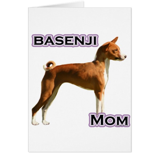 Basenji Mum 4 (Front)