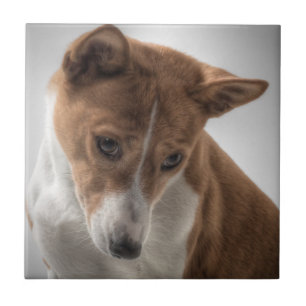 basenji tile